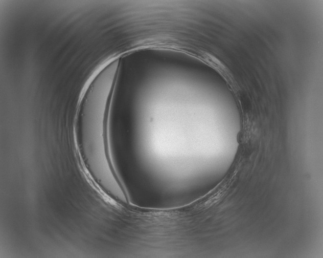 X0000053000812200507221245