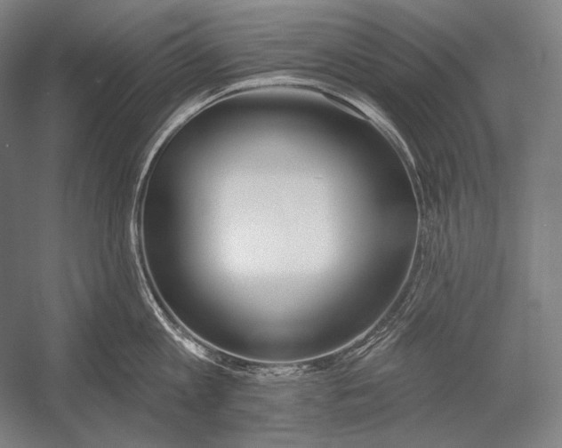 X0000053000813200507221245