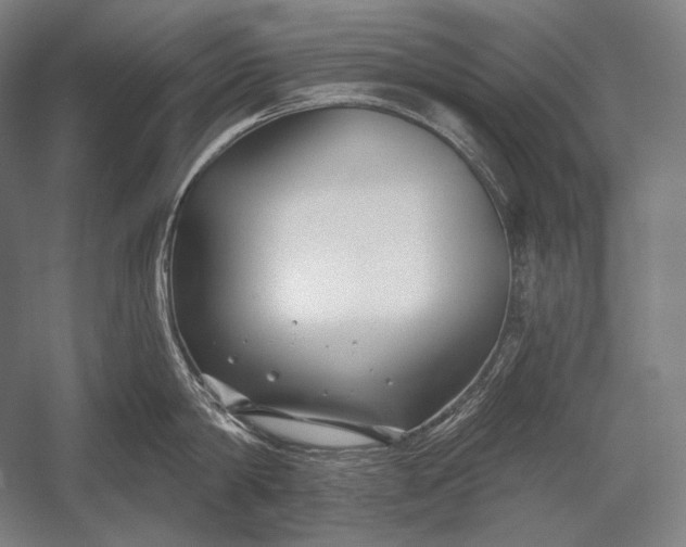 X0000053000814200507221245