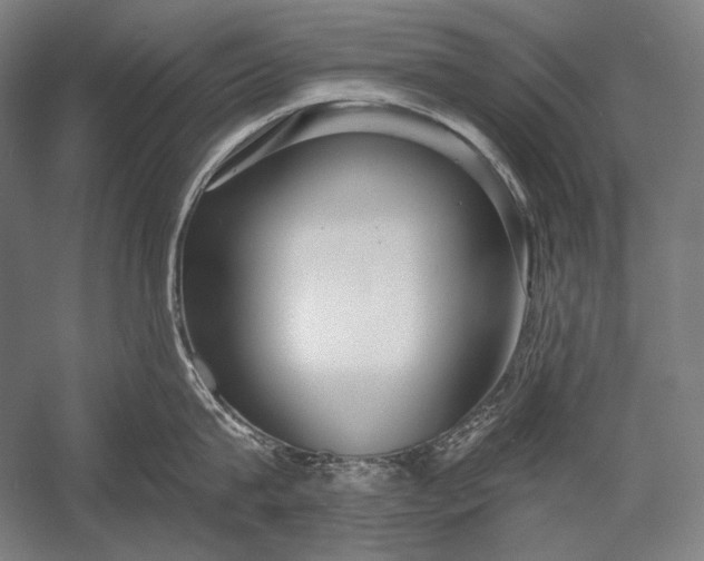 X0000053000815200507221245