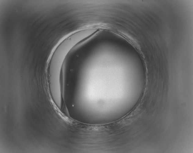 X0000053000816200507221245