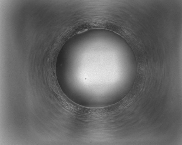 X0000053000817200507221244