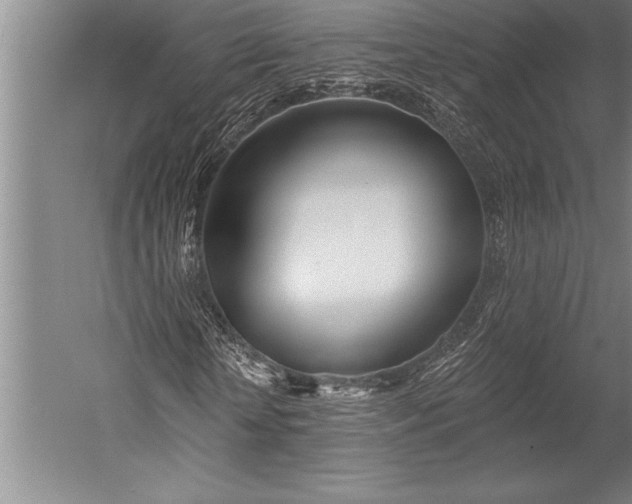 X0000053000818200507221244