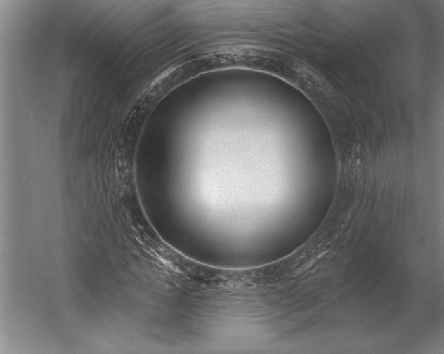 X0000053000822200507221244