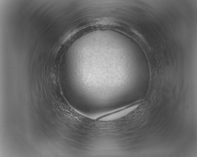 X0000053000823200507221244