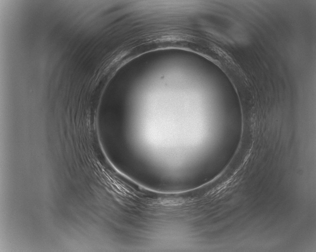 X0000053000825200507221245