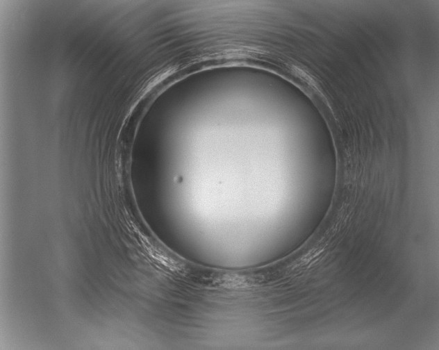 X0000053000827200507221245