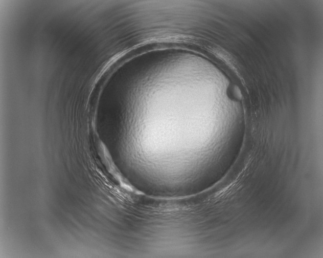 X0000053000829200507221245