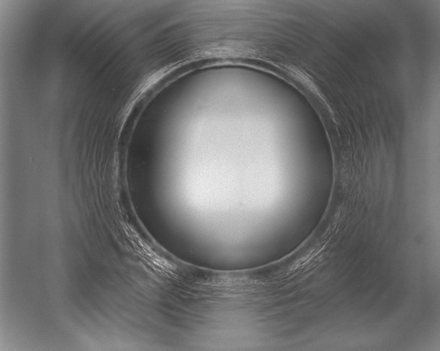 X0000053000831200507221245