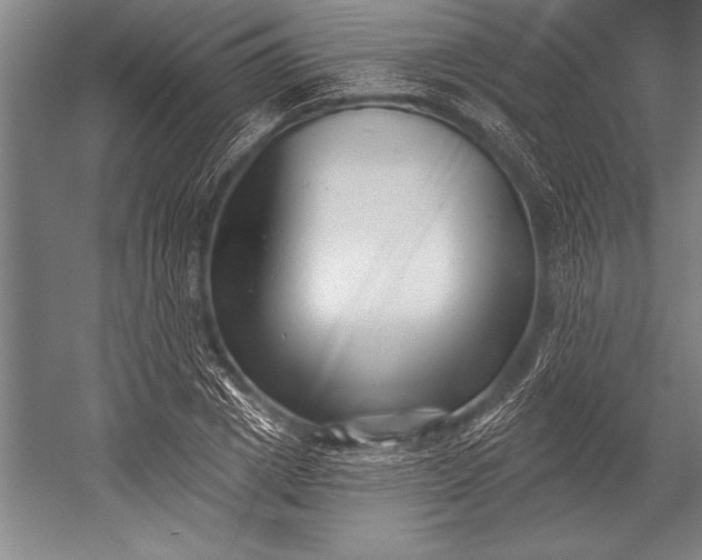 X0000053000833200507221245