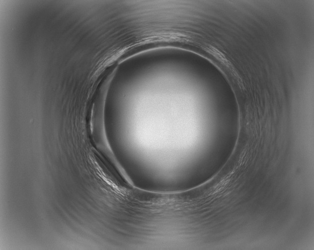 X0000053000834200507221245