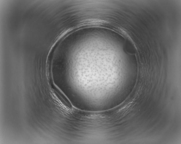 X0000053000835200507221245