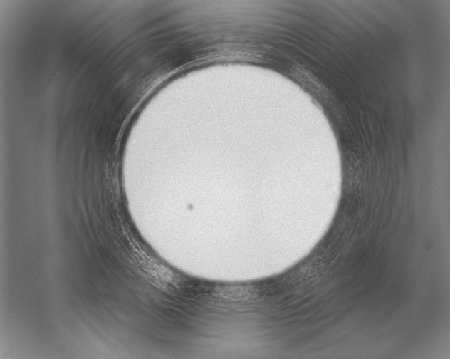 X0000053000836200507221245