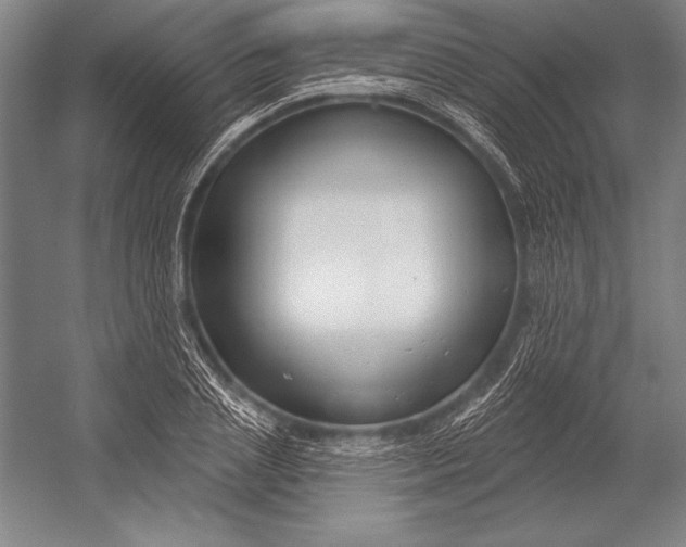 X0000053000837200507221245