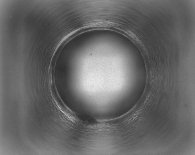 X0000053000838200507221245