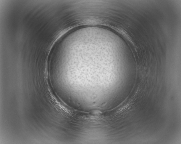 X0000053000839200507221245