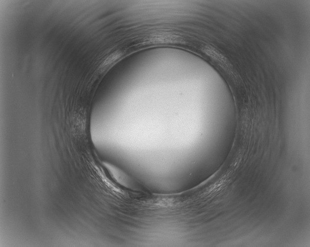 X0000053000841200507221245