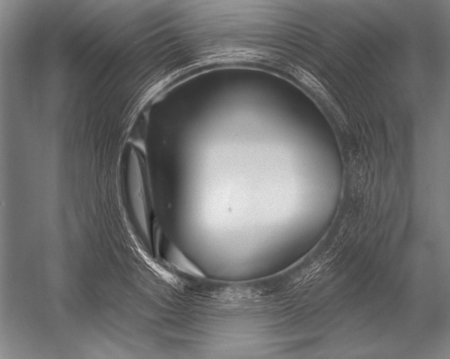 X0000053000842200507221245