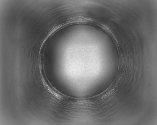 X0000053000843200507221245