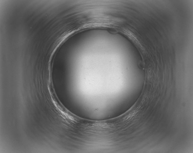 X0000053000844200507221245