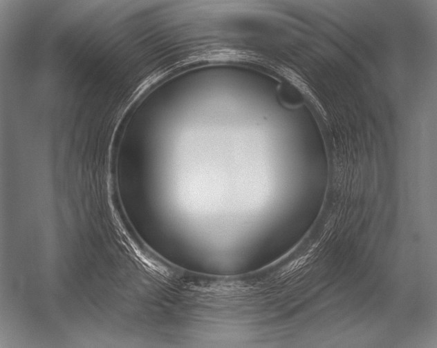 X0000053000845200507221245