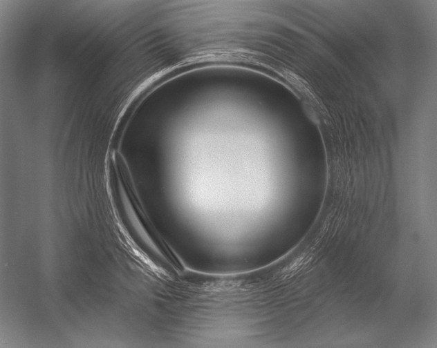 X0000053000846200507221245