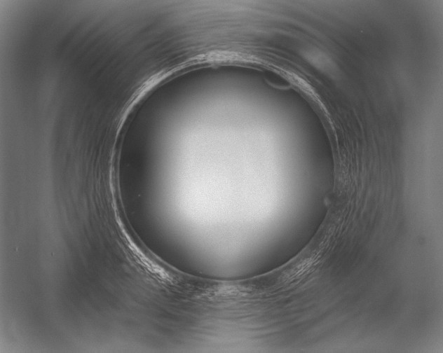 X0000053000847200507221245