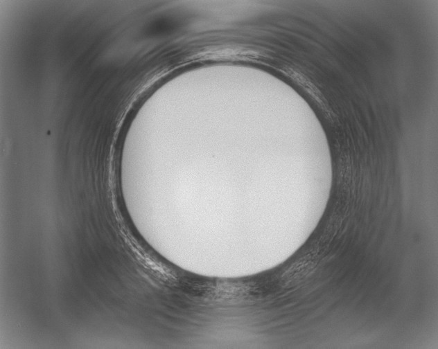 X0000053000848200507221245