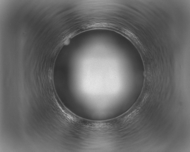 X0000053000849200507221245