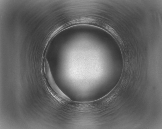 X0000053000850200507221245