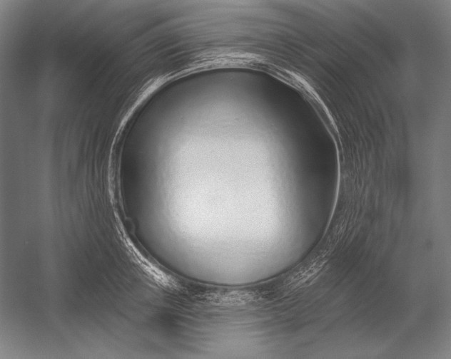 X0000053000851200507221245