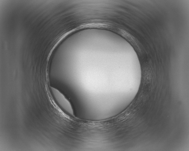 X0000053000852200507221245