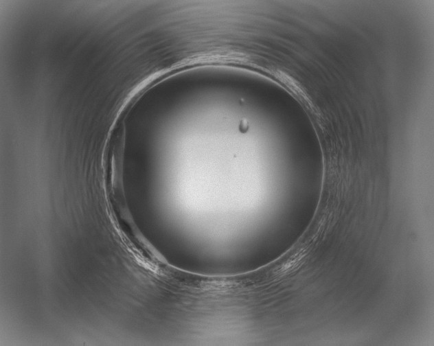 X0000053000854200507221245