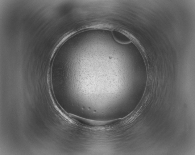 X0000053000855200507221245