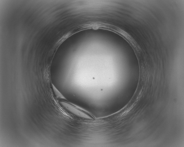 X0000053000857200507221245