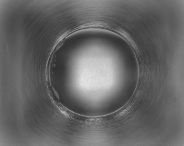 X0000053000858200507221245