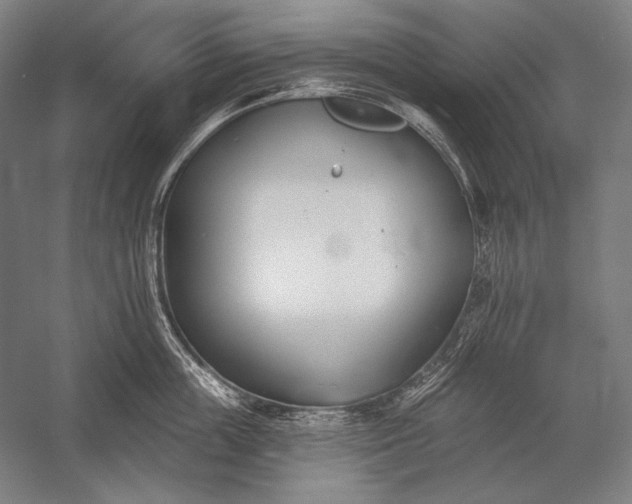 X0000053000859200507221245