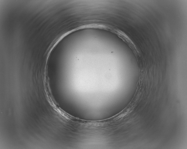 X0000053000860200507221245