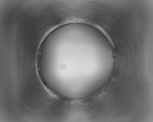 X0000053000861200507221245