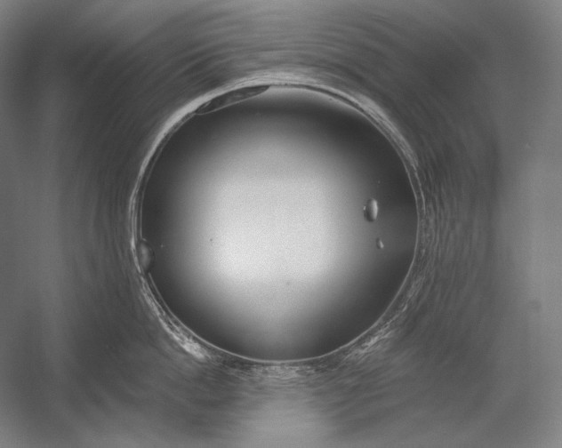 X0000053000862200507221245