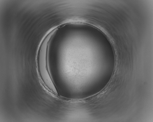 X0000053000864200507221245