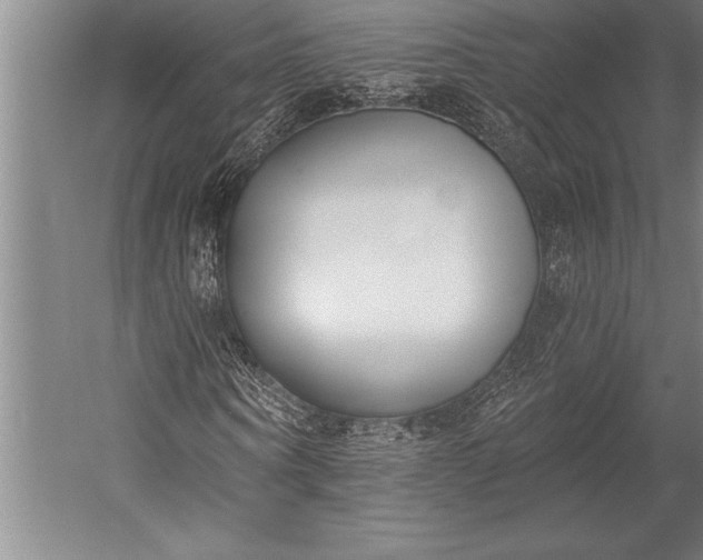 X0000053000866200507221244