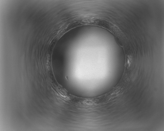 X0000053000867200507221244