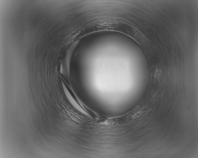 X0000053000868200507221244