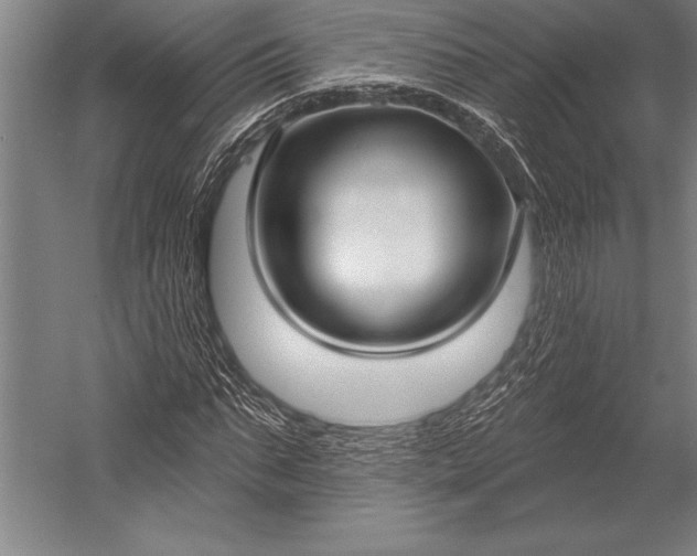 X0000053000871200507221244