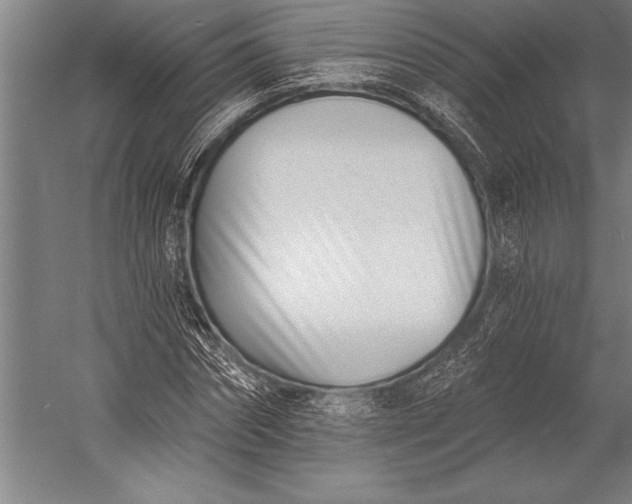 X0000053000874200507221244