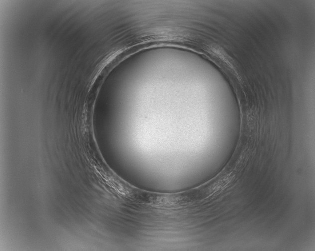 X0000053000875200507221244