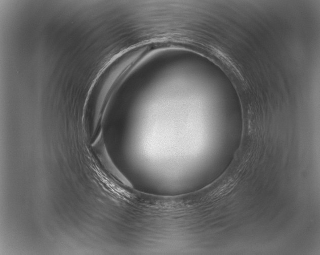 X0000053000876200507221244