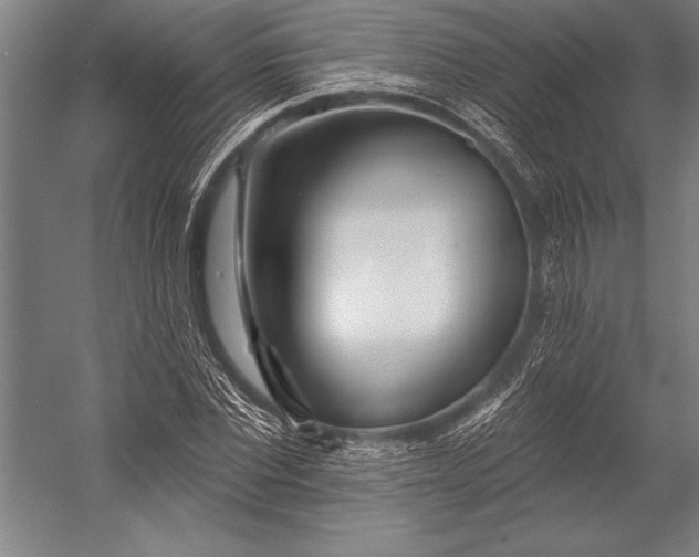 X0000053000877200507221244