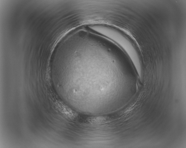 X0000053000879200507221244